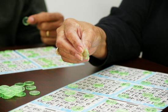 What are the different types of bingo games you can play?