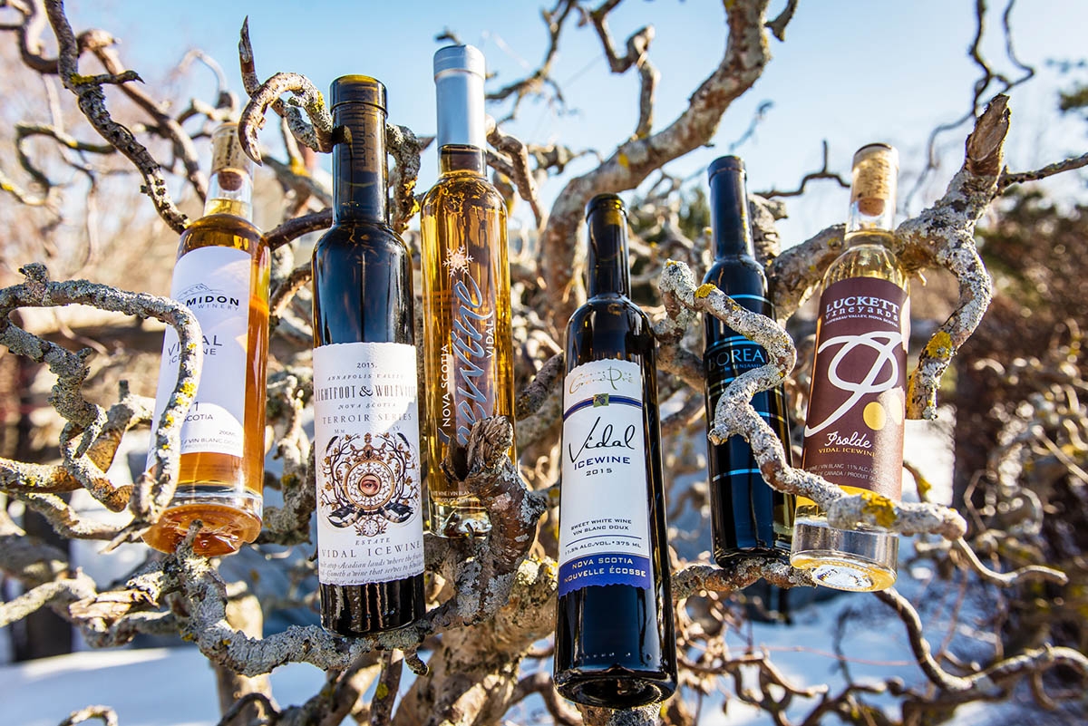 Вино Ice Wine Канада