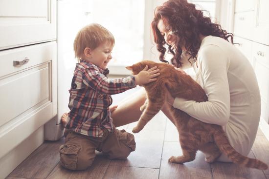 Is your family ready for a pet?