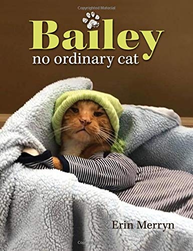 Bailey, No Ordinary Cat 