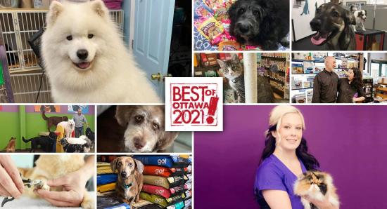 Best of Ottawa 2021: Pet shops, groomers & daycares
