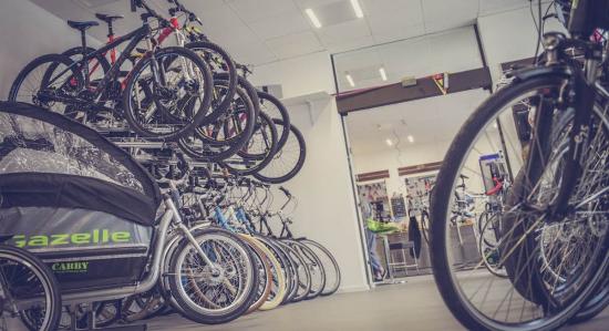 Should You Buy an E-Bike In-Store or Online: 9 Benefits of an In-Store Purchase