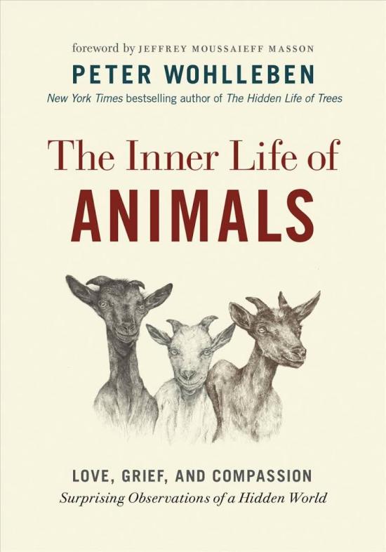 Book Review: The Inner Life of Animals