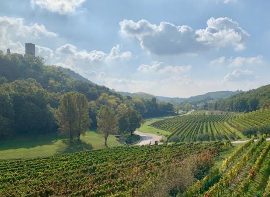 Istria — a kaleidoscope of colours and a treasure trove of gastronomic delights