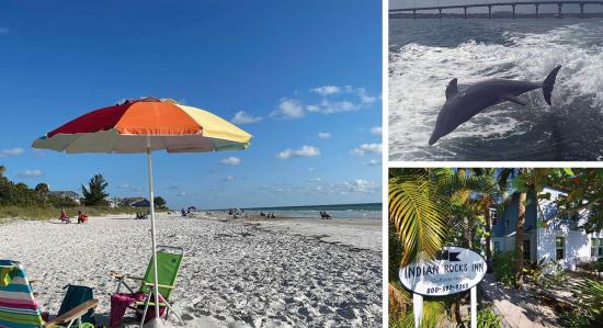 St. Pete’s and Clearwater Florida  —You won’t want to leave!