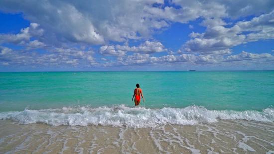 Fantastic Florida: Martin County, Miami, and The Palm Beaches offer something for all