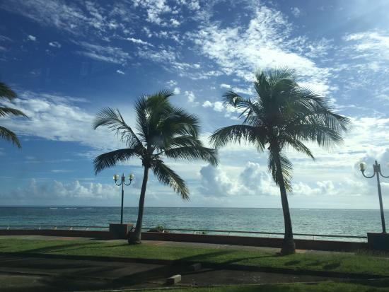 Guadeloupe! Where Caribbean Congeniality and French Flair Collide 