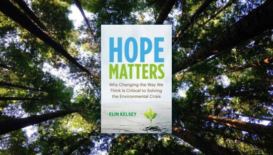 A book about solutions in the face of an environmental crisis