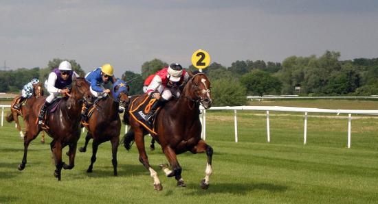 5 Profitable Horse Racing Betting Strategies that Veterans Use