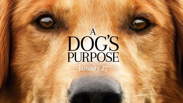 Film Review: A Dog's Purpose