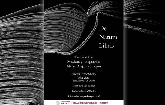 The Beauty of Books: The Upcoming Exhibitions of Álvaro López