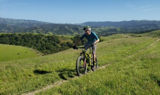 Facts on Hardtail mountain bikes as well as costs