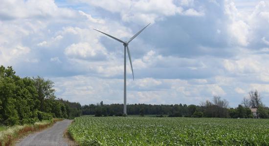 No recourse: Ontario’s green energy dream has turned into a nightmare 