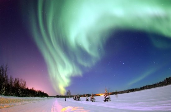 Shining a Northern Light on Business