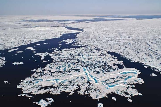 Arctic sea ice coverage reaches new record low