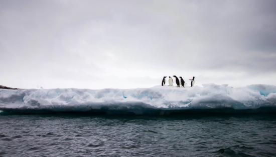 Amazing Antarctic: Destinations that will complete any travel bucket list