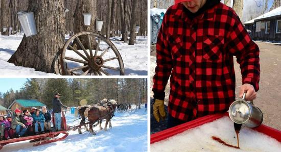 Head to the farm and get your fill of maple syrup before the season is over!