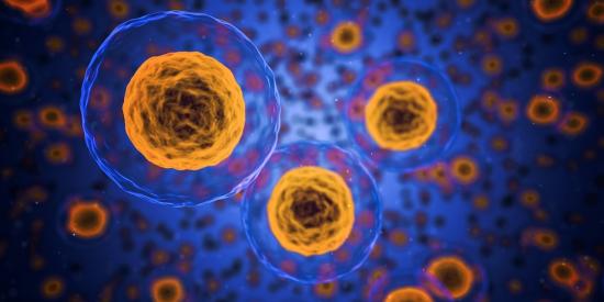 The Future of Cellular Immunity Analysis
