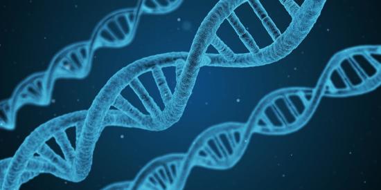 Three Reasons Why The Canadian Conventional Medical System Is Destined To Fail Three Reasons Why The Canadian Conventional Medical System Is Destined To Fail