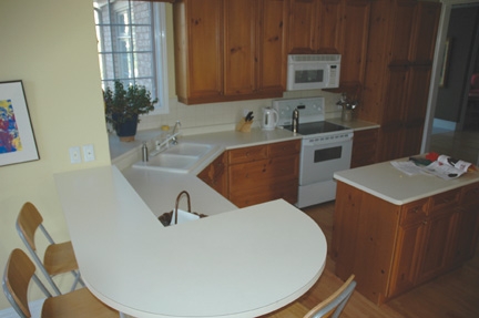 Kitchen Cabinet Renovation