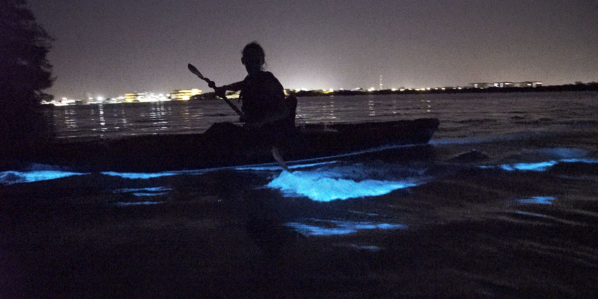 A Day Away Kayaking