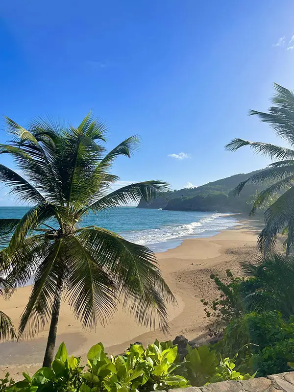 Langley Resort Fort Royale